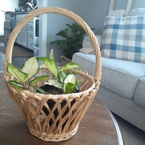 Boho wicker basket